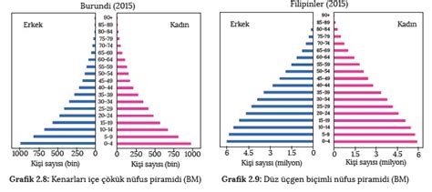 gelişmiş ülkelerin nüfus piramidi